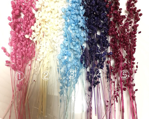 ドライフラワー ブリーザ4色40本セット/ハーバリウム レジン 花材