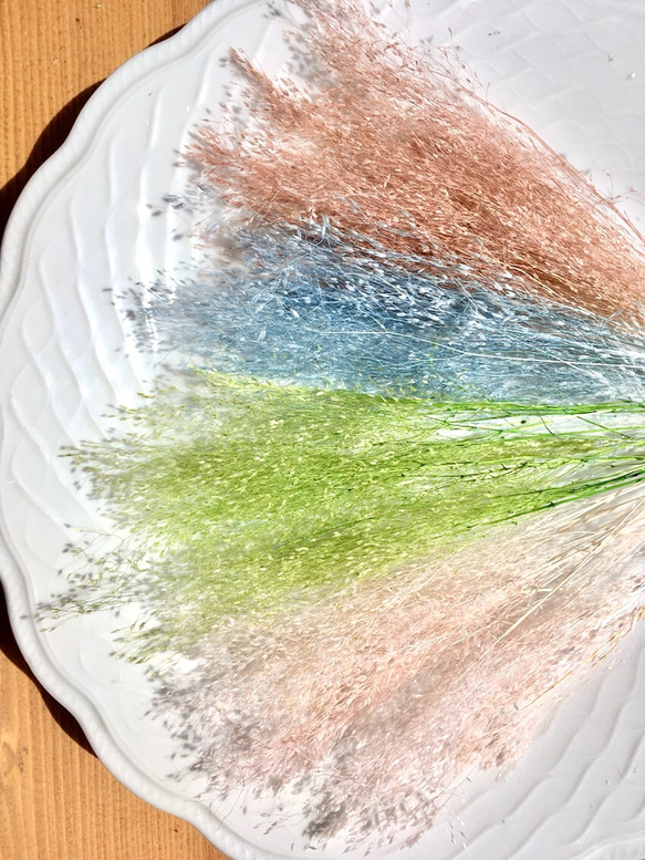 プリザーブドフラワー アグロスティス4色60本/ハーバリウム  レジン アロマワックスバー 花材 2枚目の画像