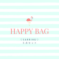５点セット☆イヤリング☆HAPPY BAG     春　夏　アクセサリー 1枚目の画像