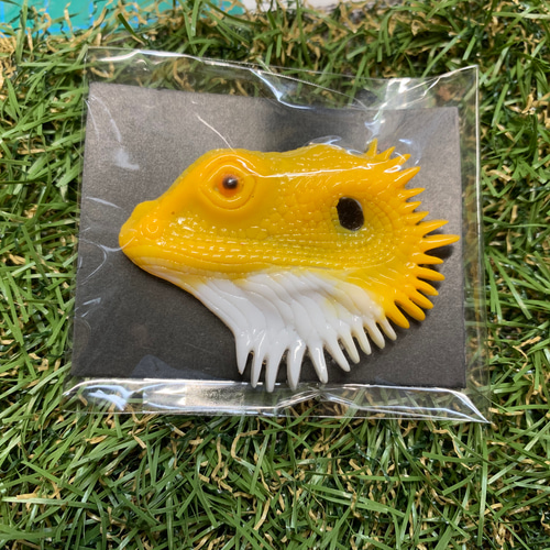 フトアゴヒゲトカゲ顔ブローチ 爬虫類 ブローチ reptiles kotori 通販