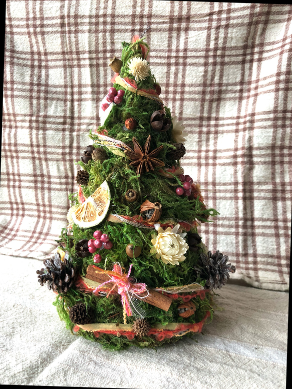 グリーンモスの卓上ツリー ドライフラワー 奄美の木の実屋 成実（なみ