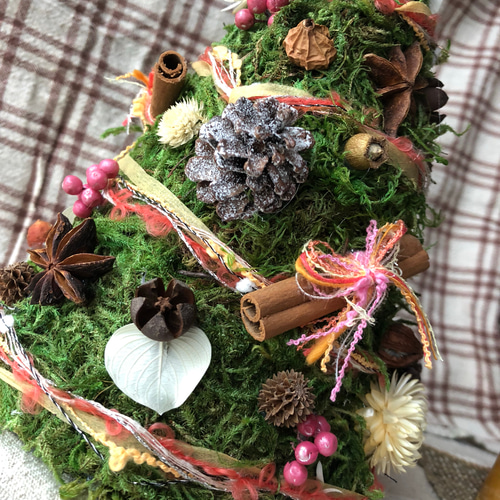 グリーンモスの卓上ツリー ドライフラワー 奄美の木の実屋 成実（なみ