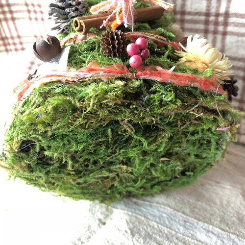 グリーンモスの卓上ツリー ドライフラワー 奄美の木の実屋 成実（なみ