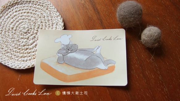 插畫家/大衛煮愛/DavidCooksLove-卡片貼紙一套（卡片/會員卡適用) 療癒系貓咪 第5張的照片