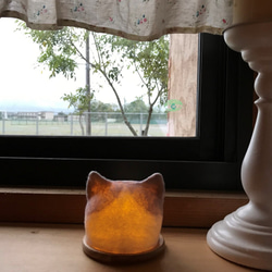 [再次上架] Soothing Kitten Lantern * Hachiware 第5張的照片