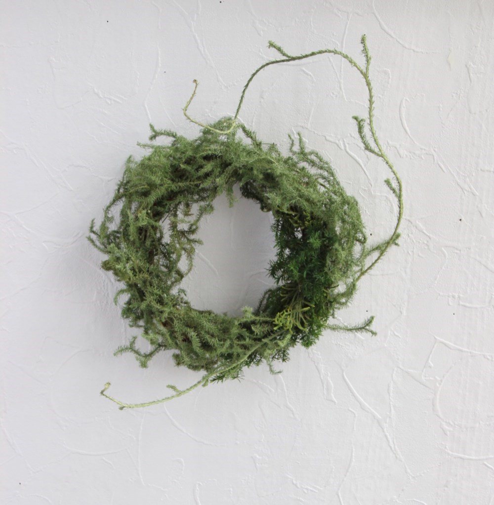 最安値挑戦】 〜ヒカゲノカズラ.テトラゴナのリース