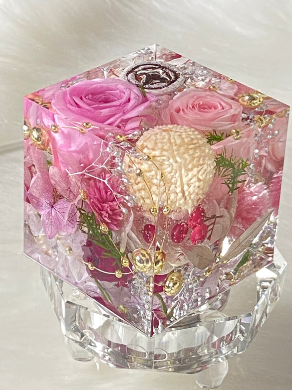 クリスタルアートリウム☆固めるハーバリウム ハーバリウム・植物標本  