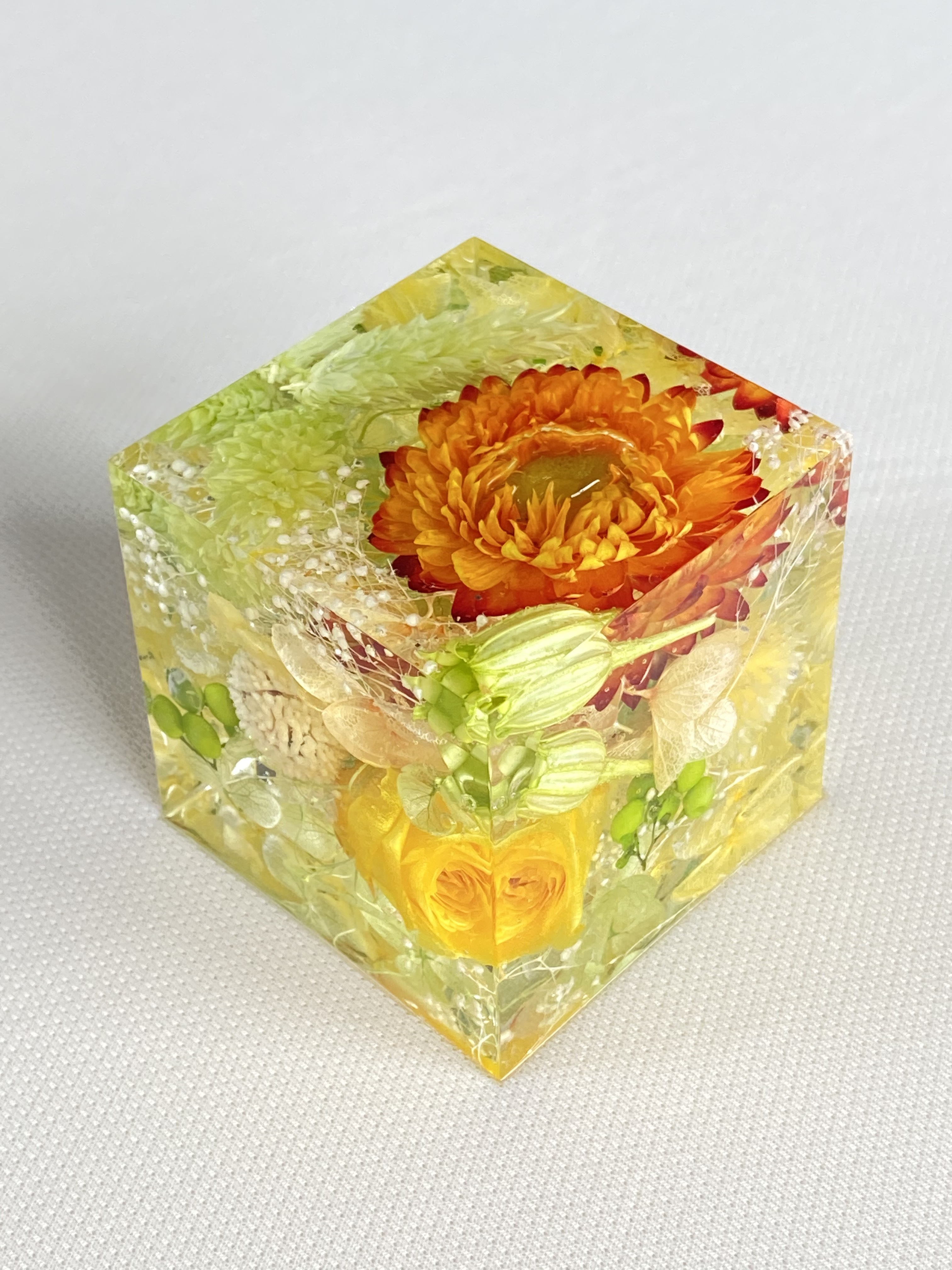 ご予約受付中！ハルコレ ！ハルコレハーバリウムガラスツリー