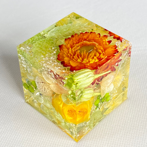 クリスタルアートリウム☆固めるハーバリウム ハーバリウム・植物標本  