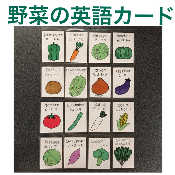 野菜の英語カード 16枚セット おもちゃ・人形 あこえみ 通販｜Creema 