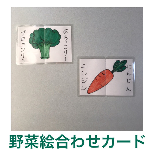 額縁入り　野菜の絵　※配送ご相談下さい。 野菜絵合わせカード 12セット おもちゃ・人形 あこえみ 通販 7622640