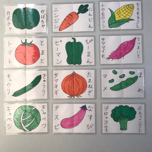 額縁入り　野菜の絵　※配送ご相談下さい。 野菜絵合わせカード 12セット おもちゃ・人形 あこえみ 通販 7622640