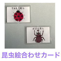 昆虫トレーディングカードセット Amazon | アイアップ 記憶力バトル 頂上決戦！最強昆虫カードゲーム