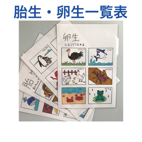意思表示絵カード 男の子用 視覚支援 発達障害 自閉症 保育教材