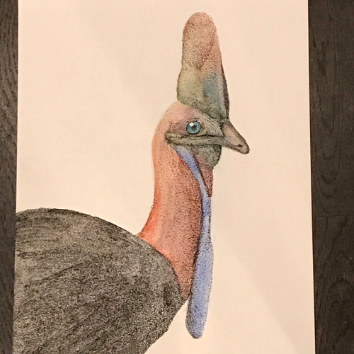 点描水彩画原画「火食鳥」 絵画 KIRIENo13 通販 6846496｜Creema(クリーマ)