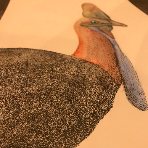 点描水彩画原画「火食鳥」 絵画 KIRIENo13 通販 6846496｜Creema(クリーマ)