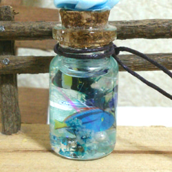 ミニアクアハーバリウム❁熱帯魚コルクガラスボトル☆アクアリウム 1枚目の画像
