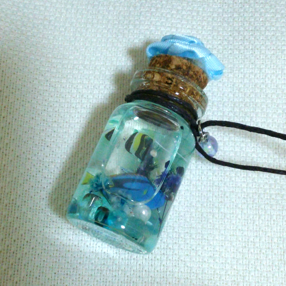 ミニアクアハーバリウム❁熱帯魚コルクガラスボトル☆アクアリウム 2枚目の画像