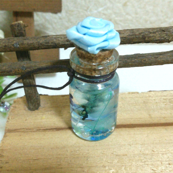 ミニアクアハーバリウム❁熱帯魚コルクガラスボトル☆アクアリウム 3枚目の画像