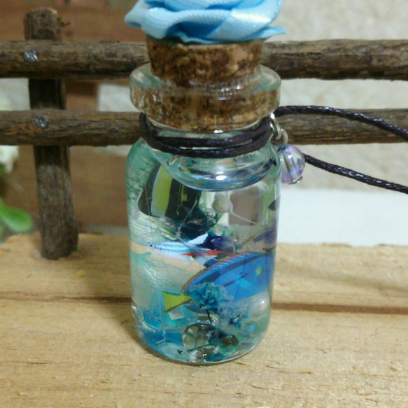 ミニアクアハーバリウム❁熱帯魚コルクガラスボトル☆アクアリウム 5枚目の画像