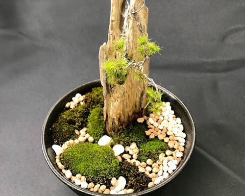 ❣️苔アート❣️流木のアーチ❣️一点物❣️完成品❣️送料込み❣️ 0_66d2886e9dc03f3c9842fef09e0d