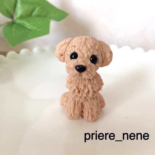 リクエストトイプードル作品 犬を飼ったら、大さわぎ！（1） トイプードルのプリンセス