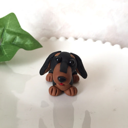 ハルちゃん様♥️ダックス 樹脂粘土 ハルちゃん様♥️ダックス 樹脂粘土 - メルカリ