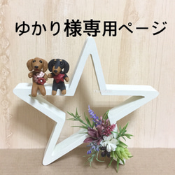 ハルちゃん様♥️ダックス 樹脂粘土 ハルちゃん様♥️ダックス 樹脂粘土