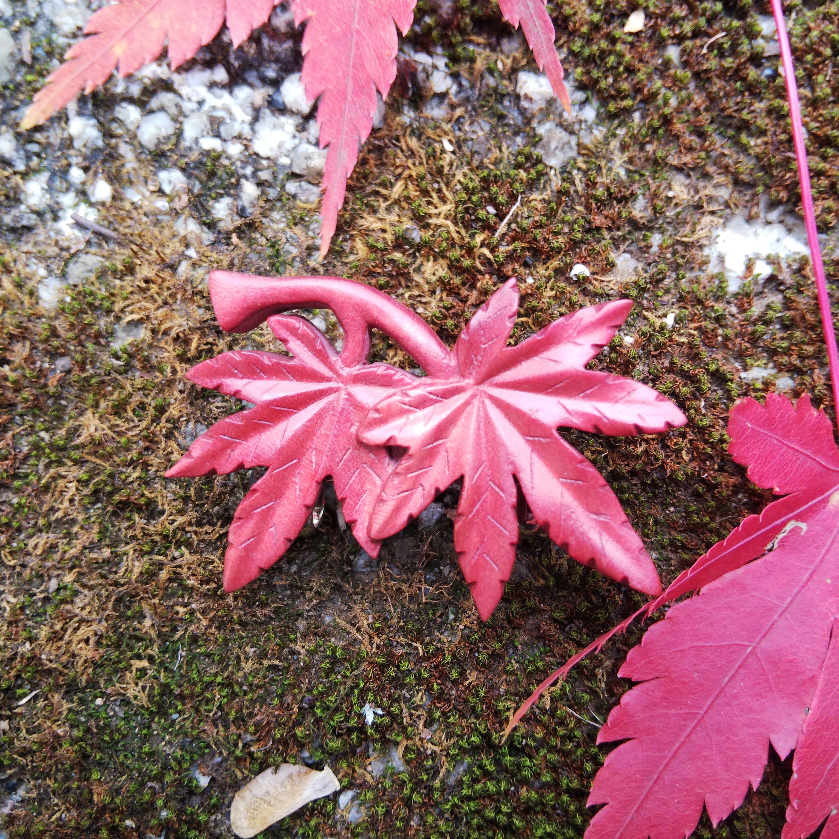 紅葉 草木染め ツゲ 帯留