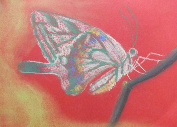 「蝶」 1枚目の画像