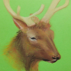 「牡鹿」　手描き　油絵　風景画　原画　動物 牡鹿」 手描き 油絵 風景画 原画 絵画 詩落 通販 17074240｜Creema