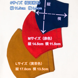 ＊送料無料＊ さらっと裏地　着物マスク  薄い藍鼠色の紅梅織に花柄   Mサイズ　No.2312 5枚目の画像