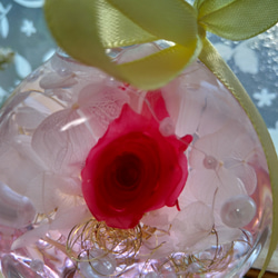 ハーバリウム　ピンク薔薇 5枚目の画像