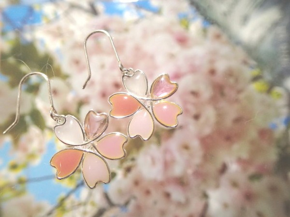 受注製作　桜花　～五色花弁～　ピアス 1枚目の画像