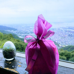 ☆大切なひとに★♡♡ピンク首長竜 水晶　赤色きのこちょうちょとカエル 6枚目の画像