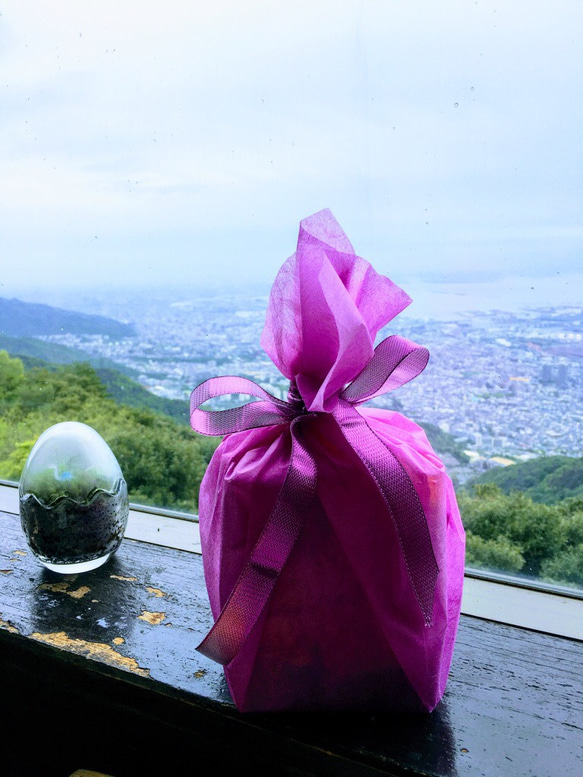 ☆大切なひとに★♡♡ピンク首長竜 水晶　赤色きのこちょうちょとカエル 6枚目の画像