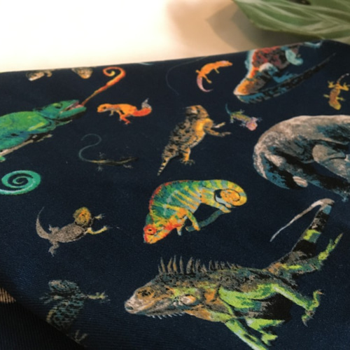 オーダーOK】入園入学大きいランチョンマット☆爬虫類カメレオンとかげ