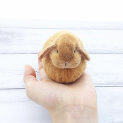 羊毛フェルト#小さなうさぎ(ロップイヤー) 羊毛フェルト haruma 通販