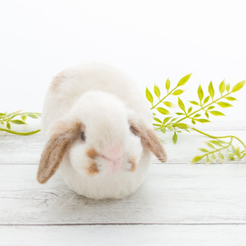 香箱座りのうさぎさん(ロップイヤー) 羊毛フェルト haruma 通販