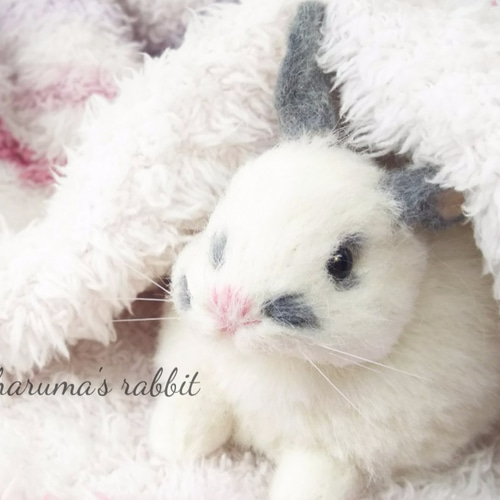 うさぎカーのうさくまちゃん 羊毛フェルト