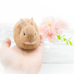 羊毛フェルト#リラックスうさぎさん(チョコレートオター) 羊毛フェルト