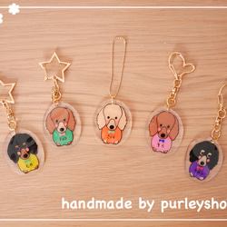 まめぷう様ご確認用♡ 犬用名札 ダックス 名入れ】犬のキーホルダー ダックスフンド編 名前入り 迷子札にも