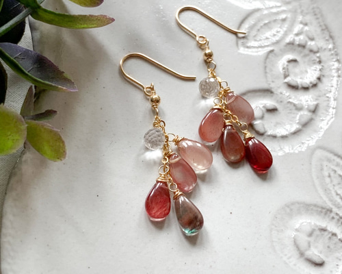 専用✳︎フォッシルコーラル 他 14kgf 天然石ピアス/イヤリング