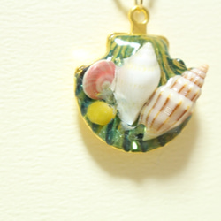 貝殻のネックレス 3枚目の画像