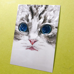猫のポストカード4枚セット【マンチカン】第3弾 2枚目の画像