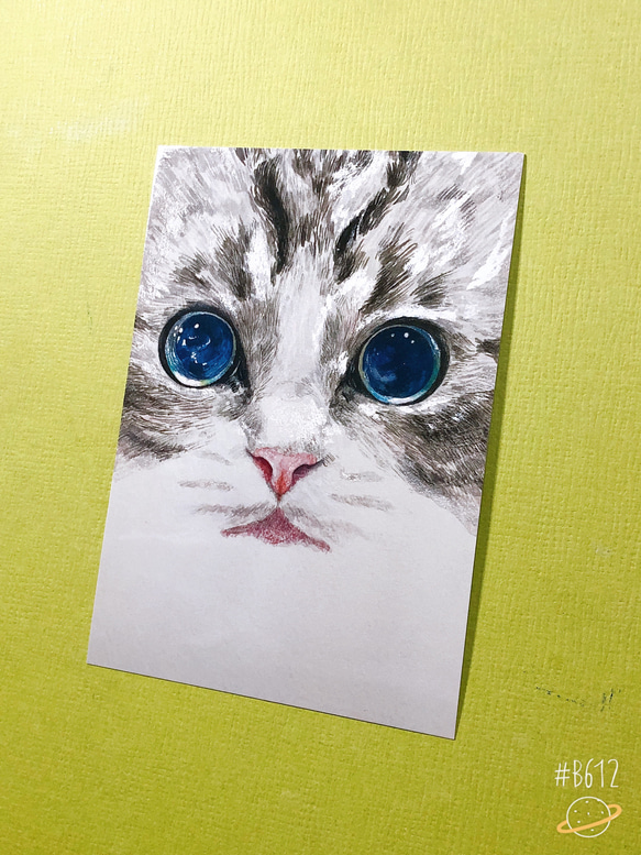 猫のポストカード4枚セット【マンチカン】第3弾 2枚目の画像