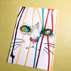 猫のポストカード4枚セット第2弾【カラフル】 1枚目の画像