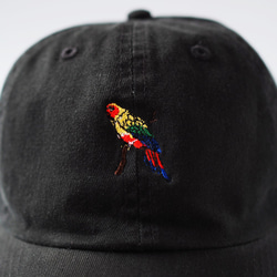 BIRD キャップ ブラック(帽子) 3枚目の画像