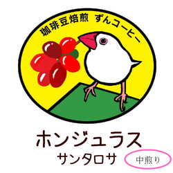 《ホンジュラスのコーヒー豆》ホンジュラス サンタロサ　中煎り 1枚目の画像