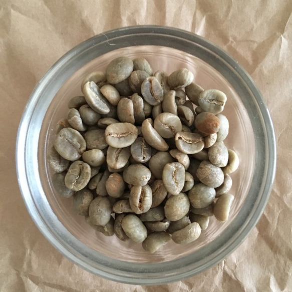 《ホンジュラスのコーヒー豆》ホンジュラス サンタロサ　中煎り 3枚目の画像